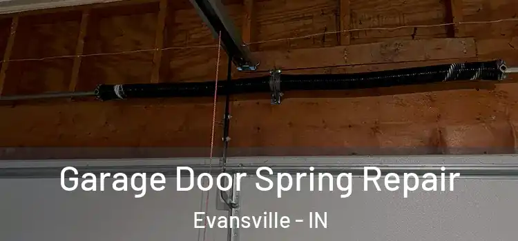  Garage Door Spring Repair Evansville - IN