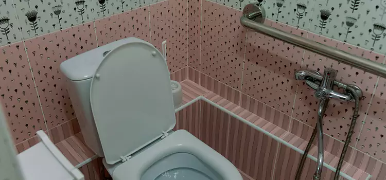 Meeting Diverse Needs With Accessible Restroom Solutions in Evansville, IN
